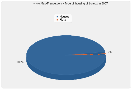 Type of housing of Loreux in 2007