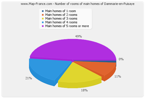 Number of rooms of main homes of Dammarie-en-Puisaye