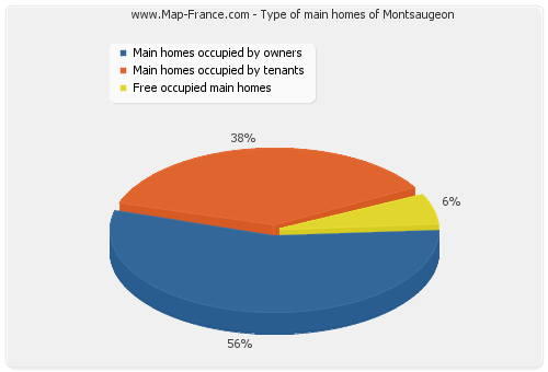 Type of main homes of Montsaugeon