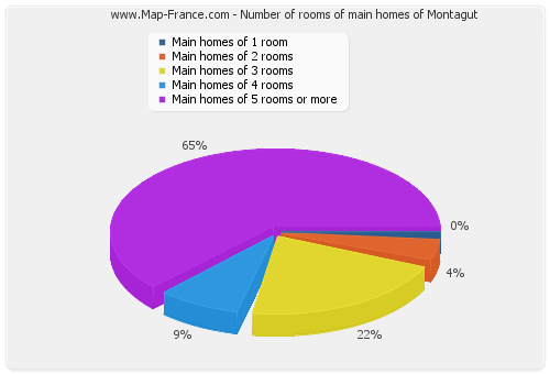 Number of rooms of main homes of Montagut