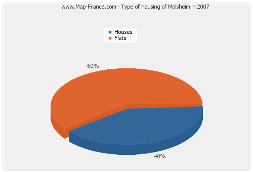 Type of housing of Molsheim in 2007