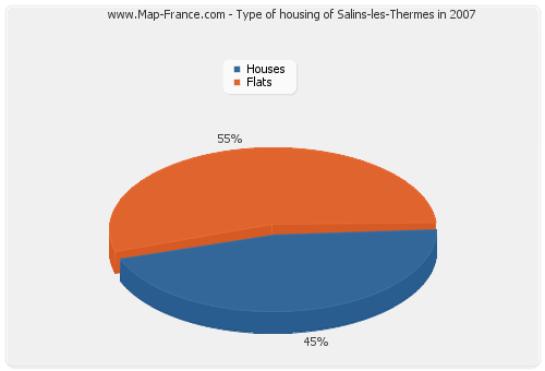 Type of housing of Salins-les-Thermes in 2007