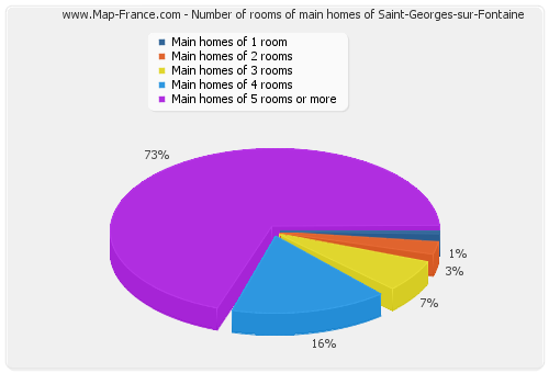 Number of rooms of main homes of Saint-Georges-sur-Fontaine