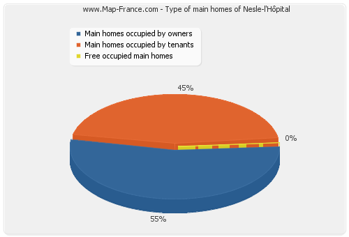 Type of main homes of Nesle-l'Hôpital