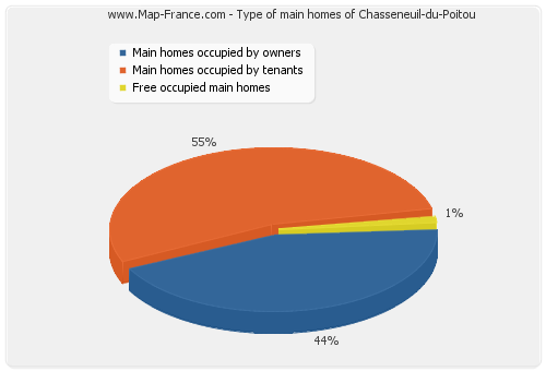 Type of main homes of Chasseneuil-du-Poitou