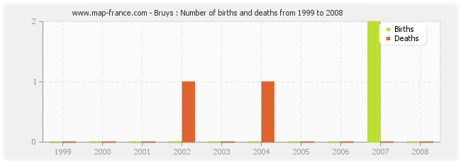 Bruys : Number of births and deaths from 1999 to 2008