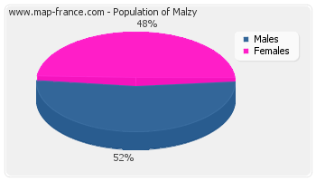 Sex distribution of population of Malzy in 2007