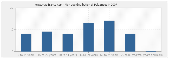 Men age distribution of Palazinges in 2007