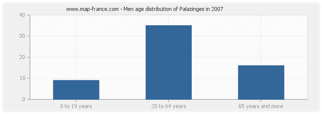 Men age distribution of Palazinges in 2007