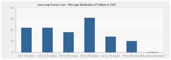Men age distribution of Palisse in 2007