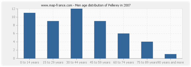 Men age distribution of Pellerey in 2007