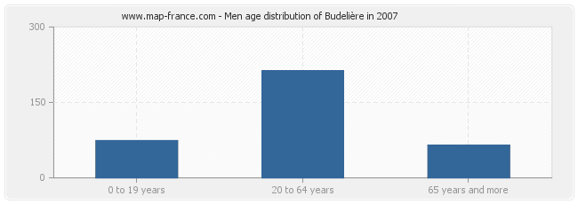 Men age distribution of Budelière in 2007
