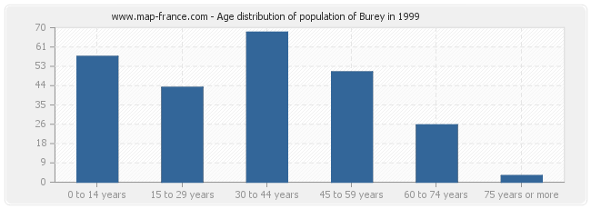 Age distribution of population of Burey in 1999