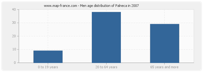 Men age distribution of Palneca in 2007