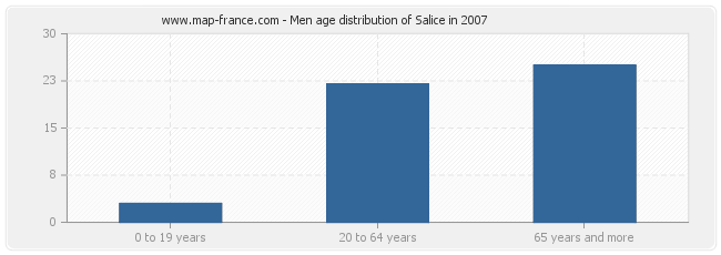 Men age distribution of Salice in 2007