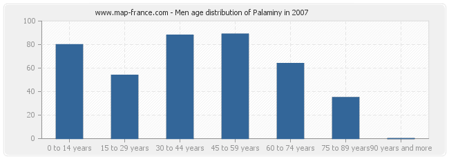 Men age distribution of Palaminy in 2007
