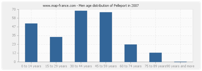 Men age distribution of Pelleport in 2007