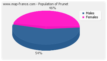 Sex distribution of population of Prunet in 2007