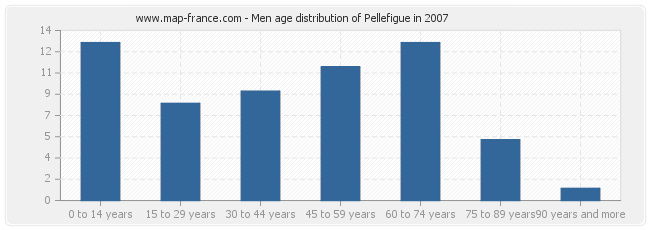 Men age distribution of Pellefigue in 2007