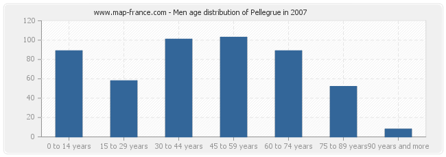 Men age distribution of Pellegrue in 2007