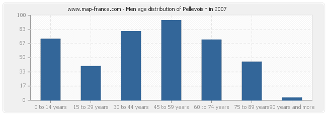 Men age distribution of Pellevoisin in 2007