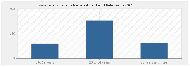 Men age distribution of Pellevoisin in 2007