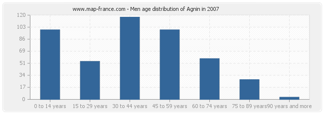 Men age distribution of Agnin in 2007