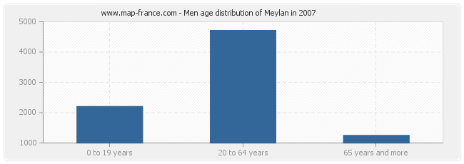 Men age distribution of Meylan in 2007