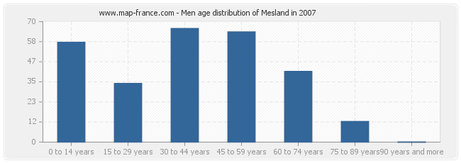 Men age distribution of Mesland in 2007