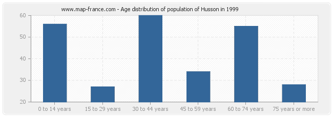 Age distribution of population of Husson in 1999