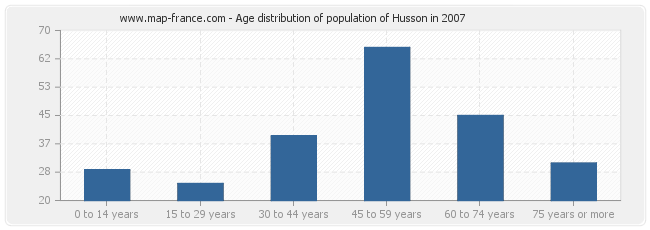 Age distribution of population of Husson in 2007