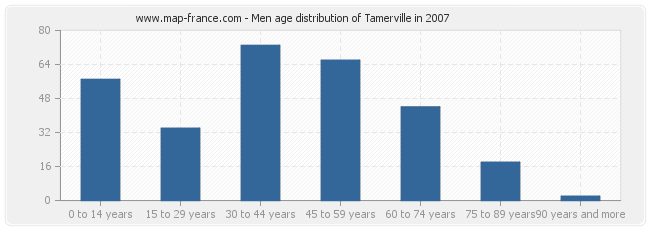 Men age distribution of Tamerville in 2007