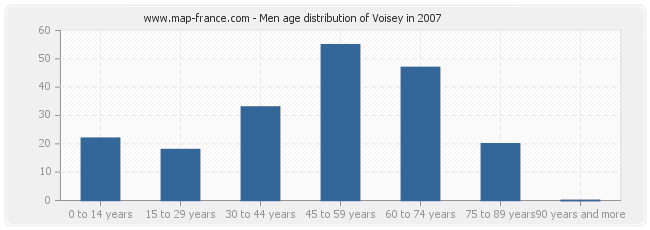 Men age distribution of Voisey in 2007