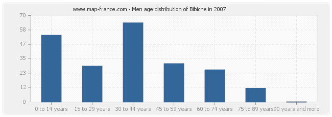 Men age distribution of Bibiche in 2007