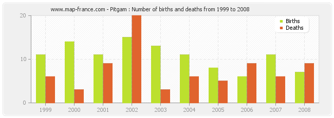 Pitgam : Number of births and deaths from 1999 to 2008