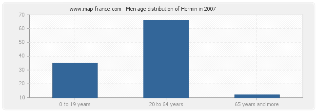 Men age distribution of Hermin in 2007