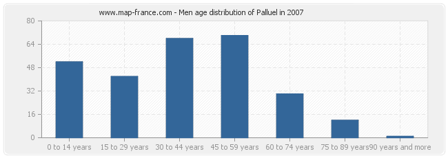 Men age distribution of Palluel in 2007