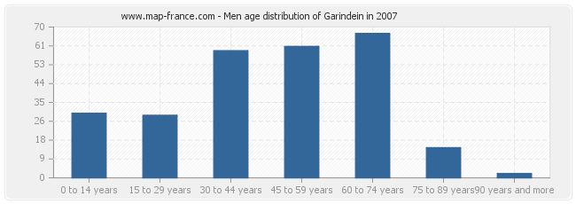 Men age distribution of Garindein in 2007