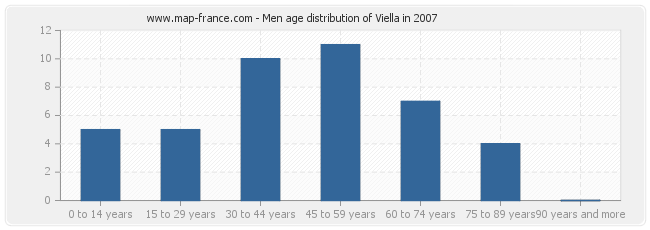 Men age distribution of Viella in 2007