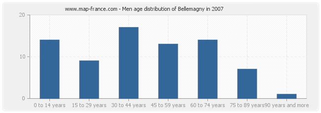 Men age distribution of Bellemagny in 2007