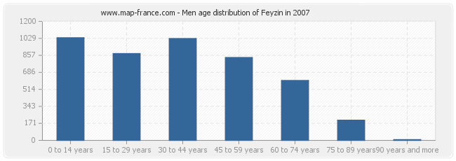 Men age distribution of Feyzin in 2007