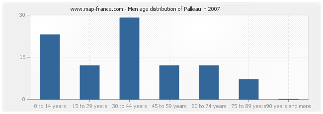 Men age distribution of Palleau in 2007