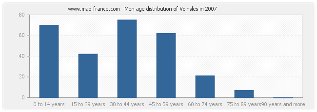 Men age distribution of Voinsles in 2007