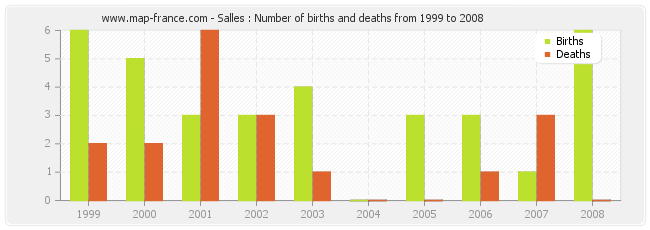 Salles : Number of births and deaths from 1999 to 2008