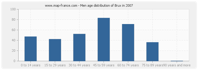 Men age distribution of Brux in 2007