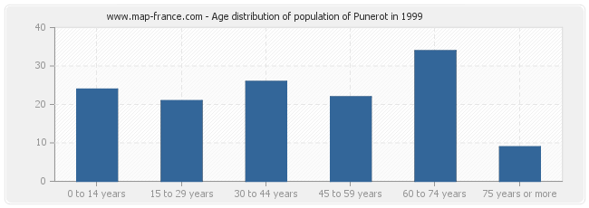 Age distribution of population of Punerot in 1999