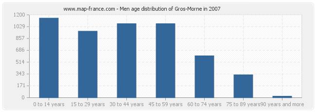 Men age distribution of Gros-Morne in 2007